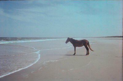 hors